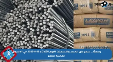 رسميًا.. سعر طن الحديد والأسمنت اليوم الثلاثاء 19-8-2025 في الأسواق المحلية بمصر